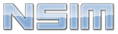 Nsim